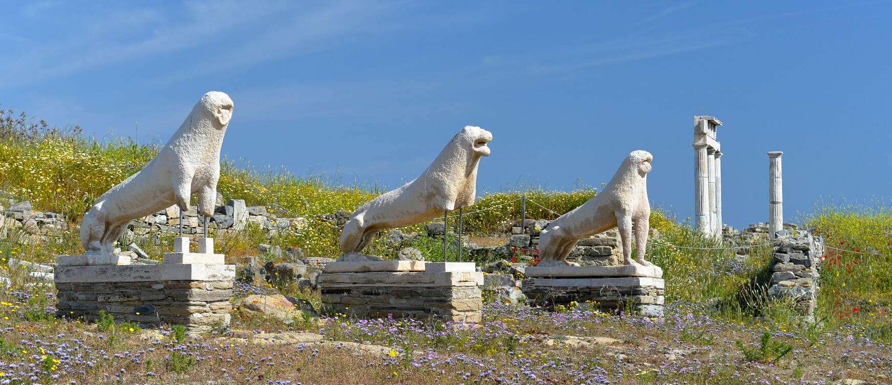 Delos tour in Mykonos