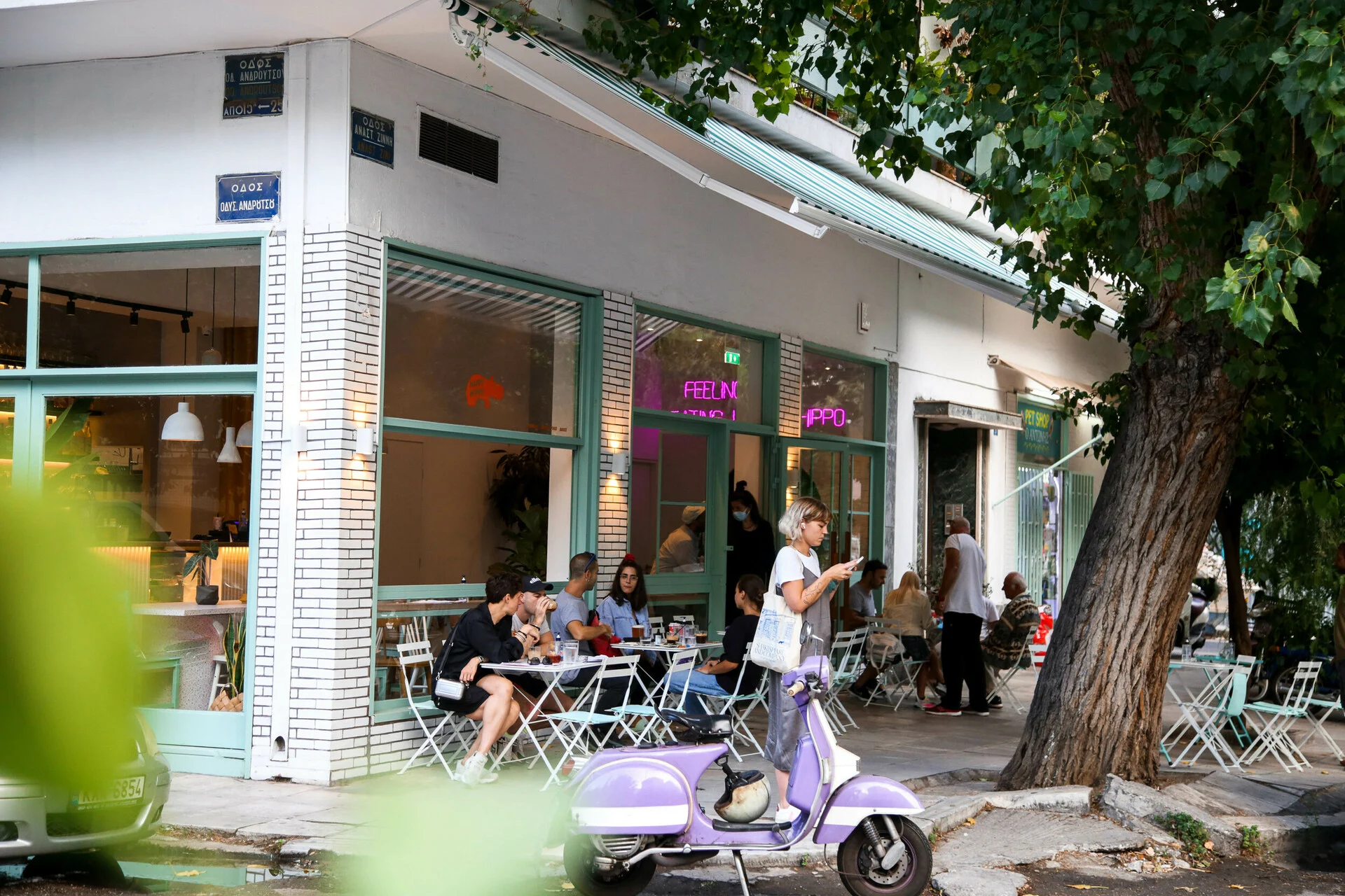 hippie hippo koukaki